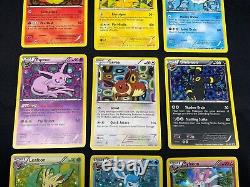 NM Eeveelutions Promo Holo Lot 9 Cards BW87-BW94, XY04 Black And White Eevee