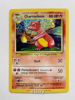 Pokémon TCG Charizard, Charmander, Charmeleon Holo Rare Pokémon Cards NM