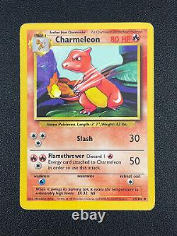 1995 Charmeleon de carte Pokémon Base Set 24/102 Rare Holo WoTC SLASH