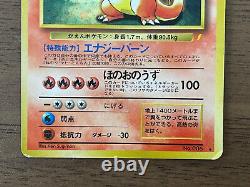CD Promo Charizard Intro Pack Venusaur Blastoise Pokemon Carte 3set Japonais #499